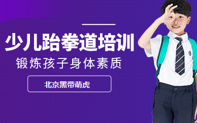 北京黑带萌虎少儿跆拳道课程