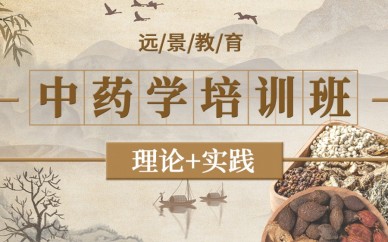 重庆远景教育中医药学培训